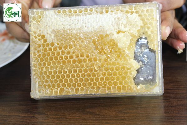 Natural Honeycomb- 500gm