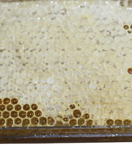 Natural Honeycomb(প্রাকৃতিক মধু)